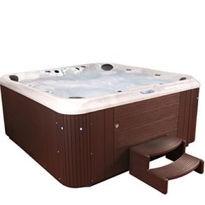 Essential-Hot-Tubs-Sanctity-80-Jets-Sterling-Silver-Shell-with-Espresso-Cabinet-Hot-Tub-0